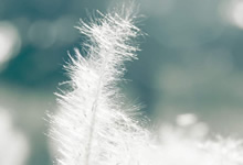 香港科技大学2026年度本科入学开放网上申请 计划通过高考招生300人