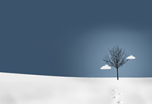 第十三届中国(深圳)私募基金高峰论坛召开