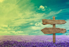 香港科技大学2026年度本科入学开放网上申请 计划通过高考招生300人