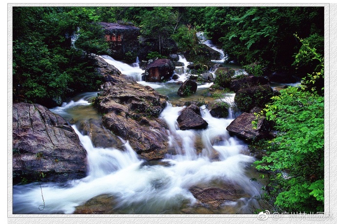 广州2018中国森林旅游节 广州资讯 第2张 广州2018中国森林旅游节 广州资讯 第2张