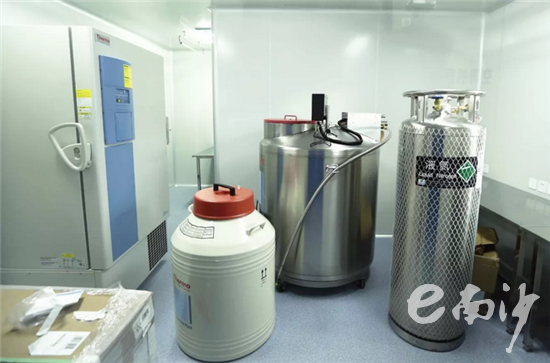 国内首个基因编辑治疗基地在南沙启动 广州资讯 第4张 国内首个基因编辑治疗基地在南沙启动 广州资讯 第4张