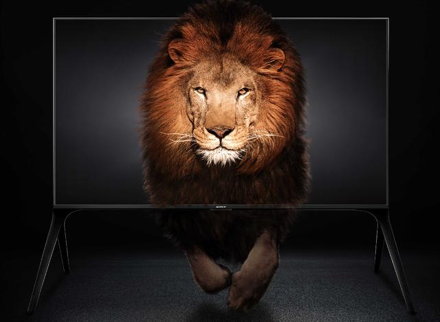 夏普8K体验车驶入五羊城,广东六城围观未来生活