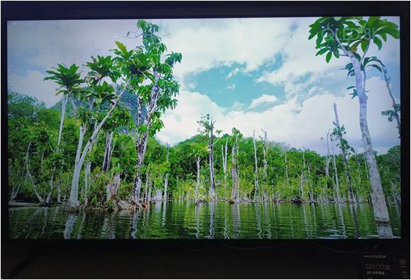 以科技之钥,开启品质生活!三星家电新品亮相广州 企业动态 第5张 以科技之钥,开启品质生活!三星家电新品亮相广州 企业动态 第5张