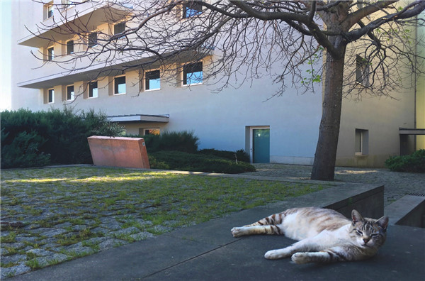 image4.jpg 西扎锐驰空间隆重开幕 会议活动 第4张 西扎锐驰空间隆重开幕 会议活动 第4张