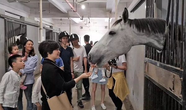 当COLMO星图系列遇见马术联赛,一场与品质生活的邂逅即将上演 数码家电 第4张 当COLMO星图系列遇见马术联赛,一场与品质生活的邂逅即将上演 数码家电 第4张