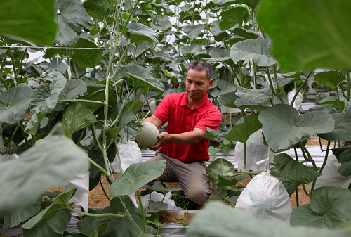 喜看连樟村 今日面貌新 新闻资讯 第3张