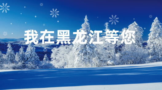 黑龙江冰雪旅游产业发展指数暨2021年冬季旅游产品点亮“羊城”广州 国内资讯 第13张 黑龙江冰雪旅游产业发展指数暨2021年冬季旅游产品点亮“羊城”广州 国内资讯 第13张