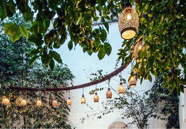 庭院品类爆火海外,年增长率20% 新闻资讯 第3张 庭院品类爆火海外,年增长率20% 新闻资讯 第3张