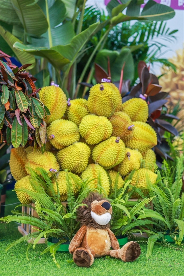 特邀嘉宾陈晓卿出席佳沃榴莲顶榴创造营:顶“榴”相遇,炸裂出道! 企业产品 第2张 特邀嘉宾陈晓卿出席佳沃榴莲顶榴创造营:顶“榴”相遇,炸裂出道! 企业产品 第2张