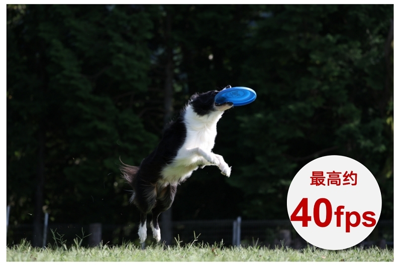 玩转Vlog 佳能推出全画幅专微相机EOS R8和RF24-50mm标准变焦镜头 国内资讯 第8张 玩转Vlog 佳能推出全画幅专微相机EOS R8和RF24-50mm标准变焦镜头 国内资讯 第8张