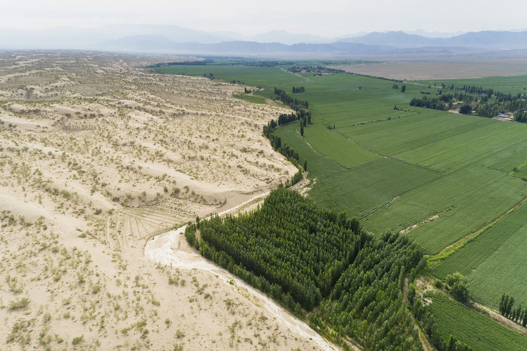 他选择的与她改变的:一朵棉花的理想主义 新闻资讯 第7张 他选择的与她改变的:一朵棉花的理想主义 新闻资讯 第7张