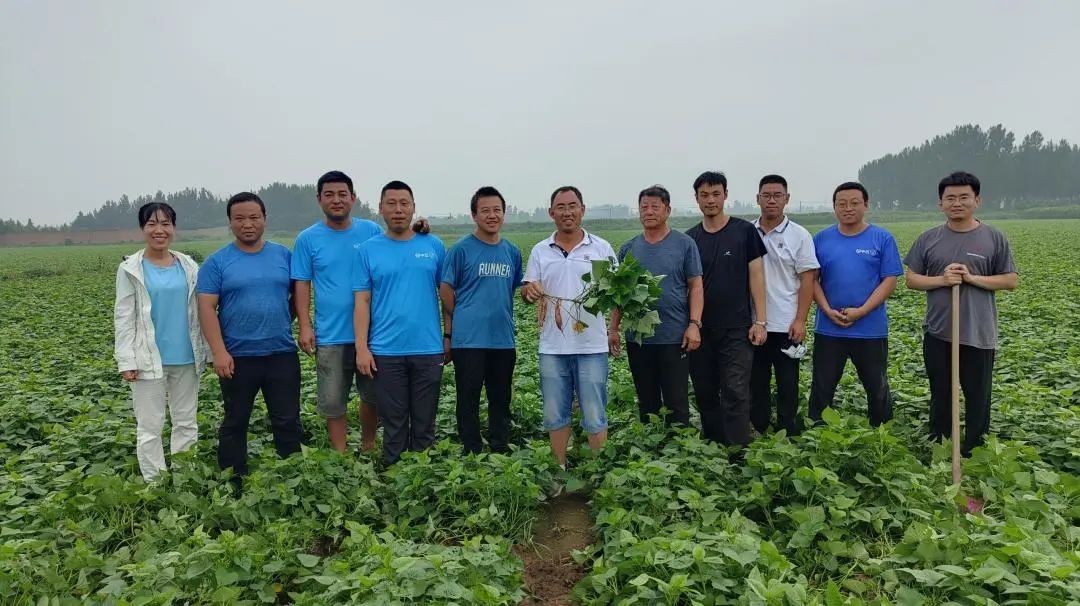 2022产季-慧谷农业种薯种苗事业部事迹回顾 新闻资讯 第1张 2022产季-慧谷农业种薯种苗事业部事迹回顾 新闻资讯 第1张