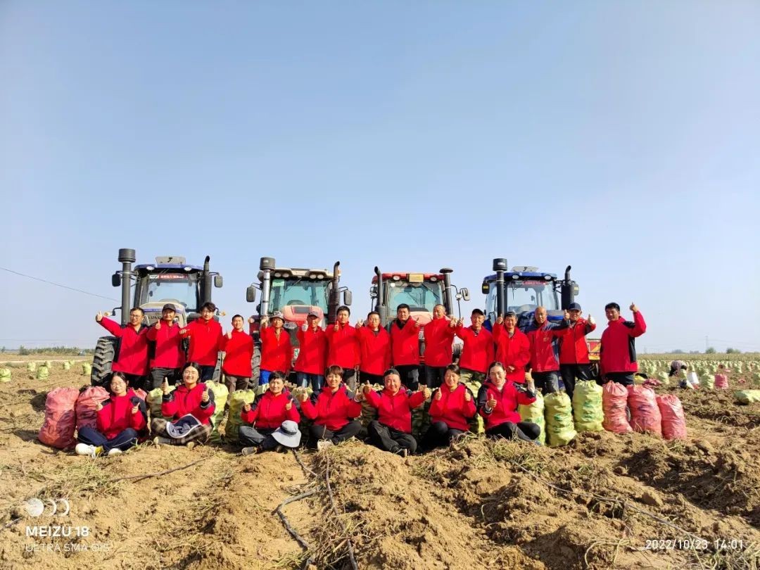 2022产季-慧谷农业种薯种苗事业部事迹回顾 新闻资讯 第3张 2022产季-慧谷农业种薯种苗事业部事迹回顾 新闻资讯 第3张