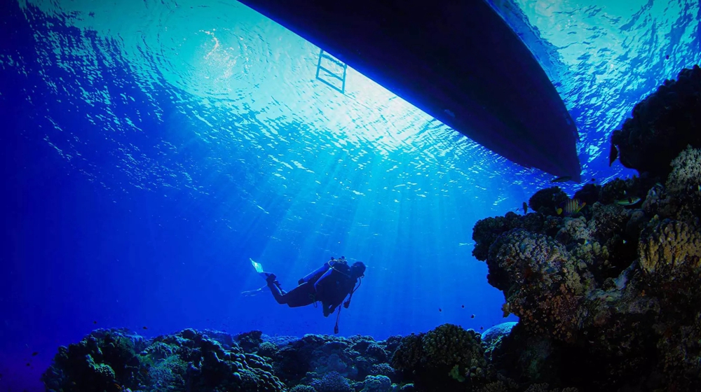 dive-in-the-sea_crop-1160x650.webp.jpg 沙特阿拉伯首次广州路演  向中国全方位展示历史文化魅力 广州资讯 第7张 沙特阿拉伯首次广州路演  向中国全方位展示历史文化魅力 广州资讯 第7张