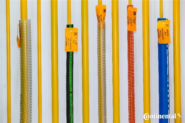 深耕粮油行业现代化建设:大陆集团联合南京鼎阳首次亮相IGO世界粮油展 企业动态 第5张 深耕粮油行业现代化建设:大陆集团联合南京鼎阳首次亮相IGO世界粮油展 企业动态 第5张