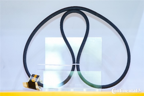 深耕粮油行业现代化建设:大陆集团联合南京鼎阳首次亮相IGO世界粮油展 企业动态 第4张 深耕粮油行业现代化建设:大陆集团联合南京鼎阳首次亮相IGO世界粮油展 企业动态 第4张