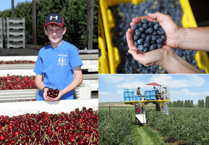 美国西部农业贸易代表团大湾区中国行活动圆满落幕 广东资讯 第9张 美国西部农业贸易代表团大湾区中国行活动圆满落幕 广东资讯 第9张