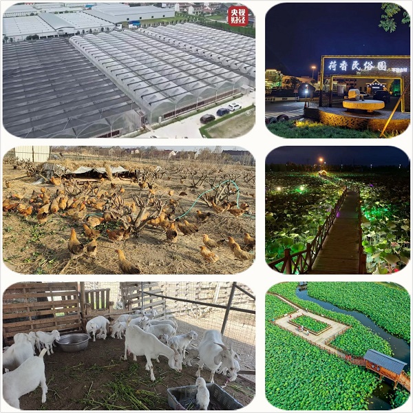 大麦+文旅=靓丽风景线 如皋张老板谈图雅诺大麦的用车感受 新闻资讯 第5张 大麦+文旅=靓丽风景线 如皋张老板谈图雅诺大麦的用车感受 新闻资讯 第5张