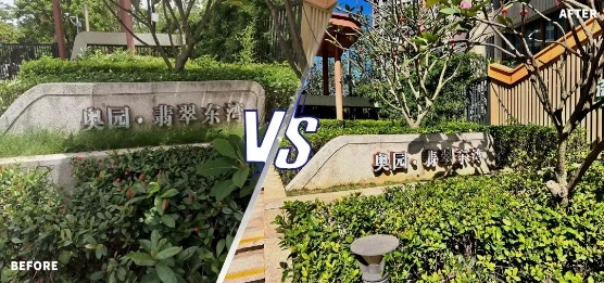 世茂服务在深圳:进驻5月,焕新翡翠东湾有“里”有“面” 企业动态 第11张 世茂服务在深圳:进驻5月,焕新翡翠东湾有“里”有“面” 企业动态 第11张