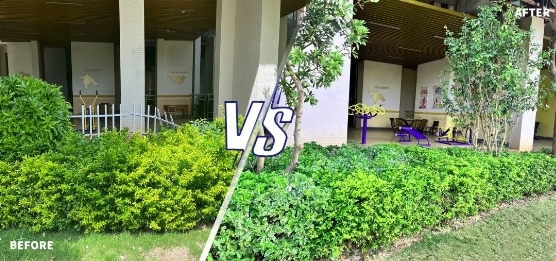 世茂服务在深圳:进驻5月,焕新翡翠东湾有“里”有“面” 企业动态 第14张 世茂服务在深圳:进驻5月,焕新翡翠东湾有“里”有“面” 企业动态 第14张