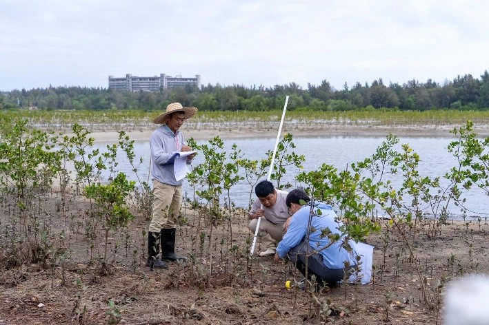 滨海生态再添新绿 各方聚力共护生物多样性 马爹利在琼粤两地同步启动红树林保护项目第三阶段工作 新闻资讯 第3张 滨海生态再添新绿 各方聚力共护生物多样性 马爹利在琼粤两地同步启动红树林保护项目第三阶段工作 新闻资讯 第3张