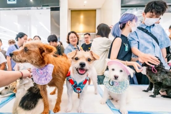 商业没有捷径,但可以“换道” 新闻资讯 第14张 商业没有捷径,但可以“换道” 新闻资讯 第14张