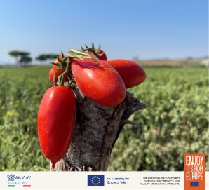 那不勒斯的浪漫、热情与美食 ——来自欧洲的红金溯源之旅 新闻资讯 第5张 那不勒斯的浪漫、热情与美食 ——来自欧洲的红金溯源之旅 新闻资讯 第5张