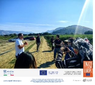 那不勒斯的浪漫、热情与美食 ——来自欧洲的红金溯源之旅 新闻资讯 第6张 那不勒斯的浪漫、热情与美食 ——来自欧洲的红金溯源之旅 新闻资讯 第6张