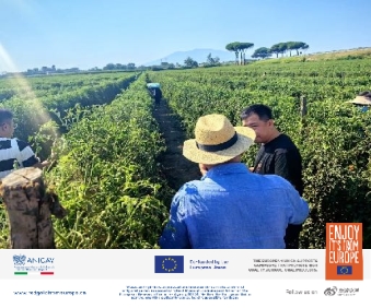 那不勒斯的浪漫、热情与美食 ——来自欧洲的红金溯源之旅 新闻资讯 第7张 那不勒斯的浪漫、热情与美食 ——来自欧洲的红金溯源之旅 新闻资讯 第7张