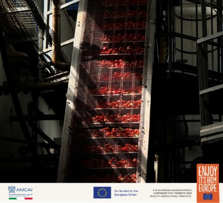 那不勒斯的浪漫、热情与美食 ——来自欧洲的红金溯源之旅 新闻资讯 第9张 那不勒斯的浪漫、热情与美食 ——来自欧洲的红金溯源之旅 新闻资讯 第9张