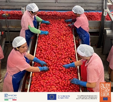 那不勒斯的浪漫、热情与美食 ——来自欧洲的红金溯源之旅 新闻资讯 第10张 那不勒斯的浪漫、热情与美食 ——来自欧洲的红金溯源之旅 新闻资讯 第10张