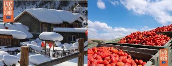  对抗寒冬,需要一点“红金”营养