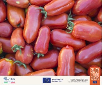 ​ 对抗寒冬，需要一点“红金”营养 新闻资讯 第6张