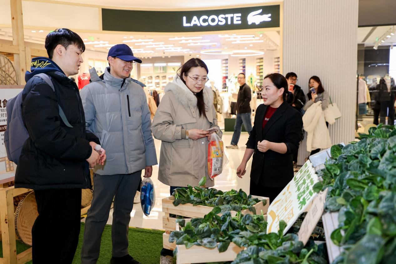 巴奴“笨菠菜”甜出圈:一场从田间到商圈的乡村振兴实践 新闻资讯 第2张 巴奴“笨菠菜”甜出圈:一场从田间到商圈的乡村振兴实践 新闻资讯 第2张