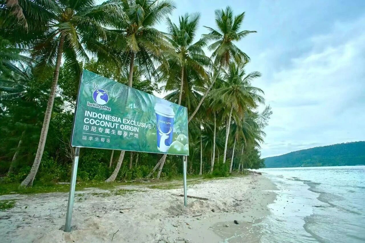 05.jpg 从9.9元到3万店,瑞幸8年跑出一个「咖啡日常化」的中国范本 新闻资讯 第5张 从9.9元到3万店,瑞幸8年跑出一个「咖啡日常化」的中国范本 新闻资讯 第5张