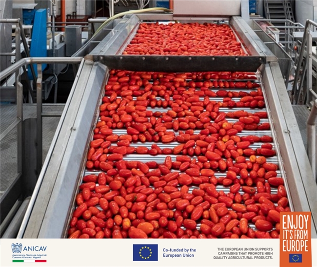 ​ 欧洲红金・臻藏番茄 年度推广盛典全纪实 新闻资讯 第2张