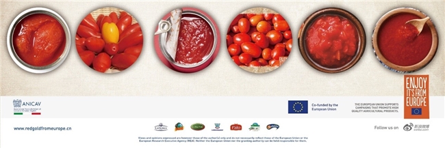 ​ 欧洲红金・臻藏番茄 年度推广盛典全纪实 新闻资讯 第4张