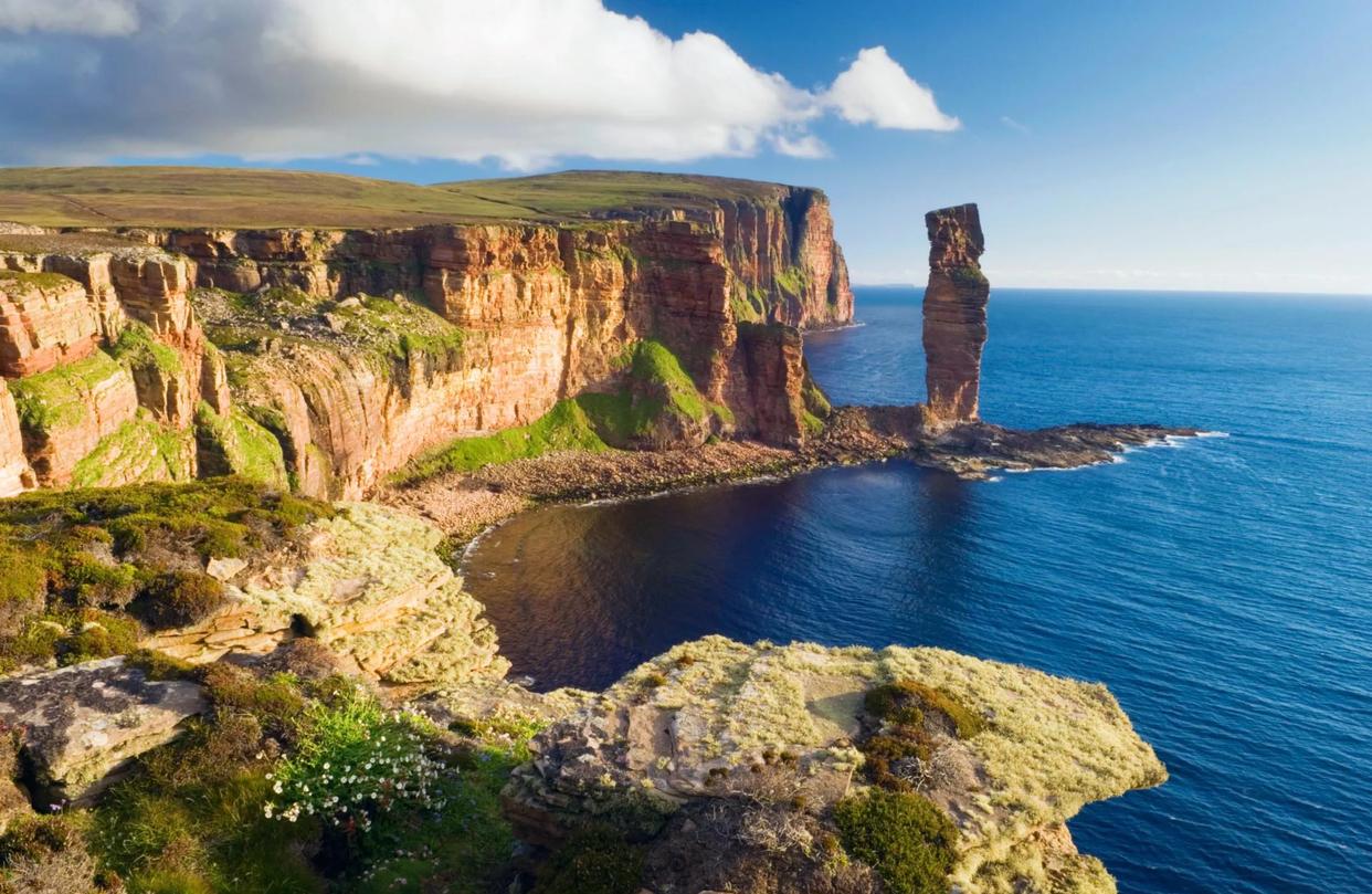 “OK你，上岛了吗?”奥克尼高原骑士登陆2026第7届广州逍遥威士忌节 同城活动 第2张