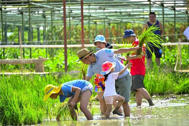 佛山推出200余项“花漾春假”文旅活动，解锁“春假+”多元度假新体验