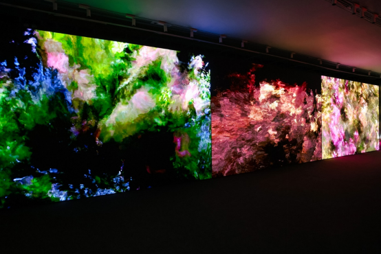 BOE(京东方)赋能横琴-澳门国际数字艺术博览会  联合OPPO 打造“BOE 原生OLED通透显示”空间 国际会展 第5张